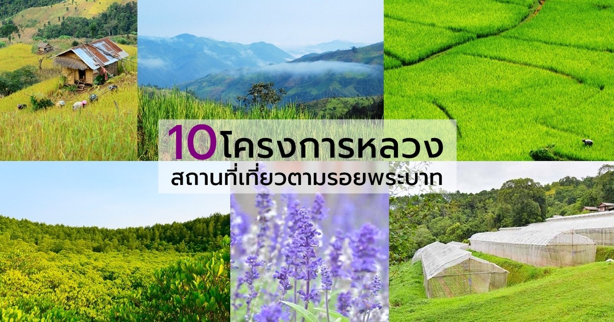 เที่ยวชม 10 โครงการหลวง ตามรอยพระบาท