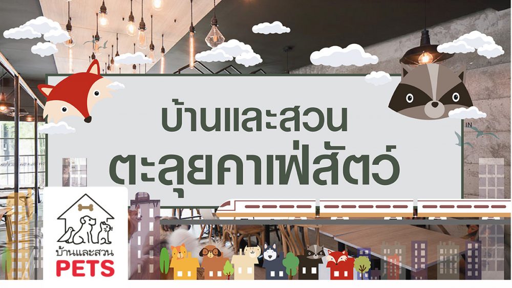 บ้านและสวนตะลุยคาเฟ่สัตว์
