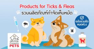 Products for Ticks & Fleas – รวมผลิตภัณฑ์กำจัดเห็บหมัด ฉบับรวบรัดหมดห่วง