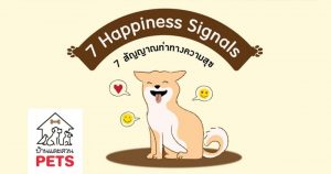 จับสัญญาณ 6 ท่าทางความสุขของน้องหมา