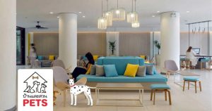เที่ยวตามใจไปกับสัตว์เลี้ยงแสนรักในโรงแรมแบบ Pets Friendly Hotel