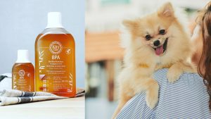 BPA. Kin Care กับการดูแลความสะอาดของสัตว์เลี้ยง BPA. Kin Care น้ำส้มควันไม้