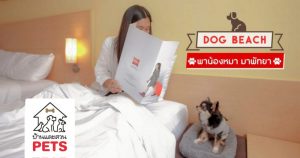 พาน้องหมามาพัทยา 2 วัน 1 คืน กับ ที่พักแบบ Pets Friendly Hotel