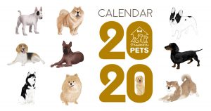แจกฟรี!! ปฏิทิน 2020/2563 บ้านและสวนPets : น้องหมานานาชาติ ปฏิทิน 2020/2563