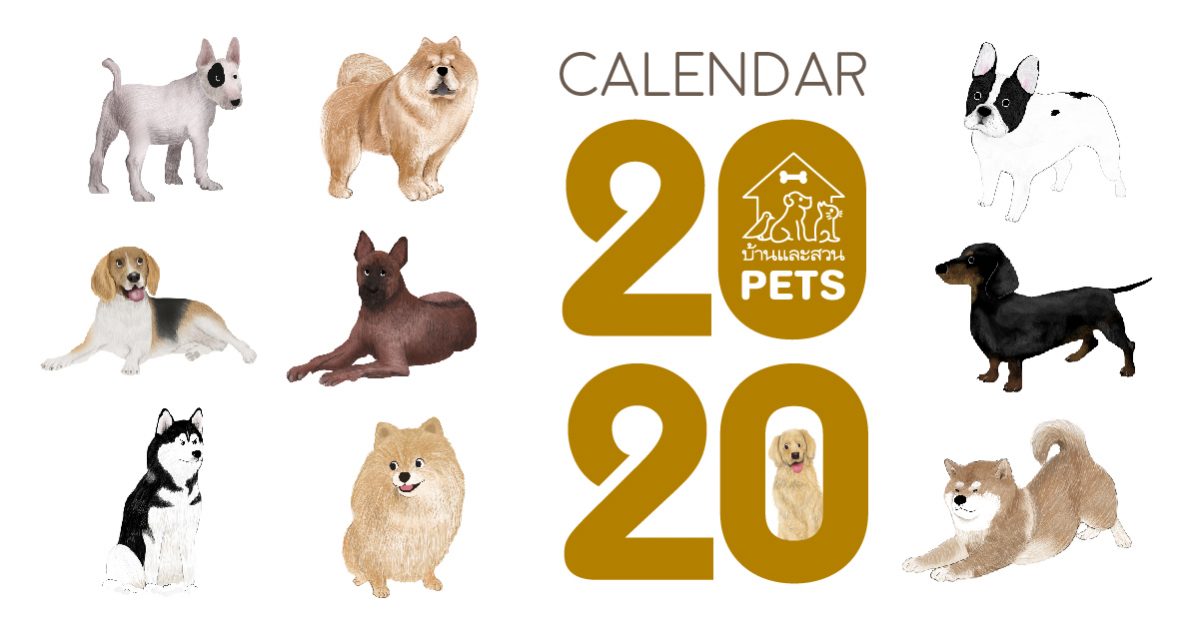 แจกฟรี!! ปฏิทิน 2020/2563 บ้านและสวนPets : น้องหมานานาชาติ ปฏิทิน 2020/2563