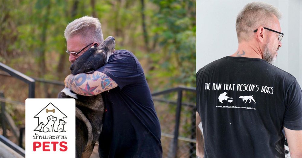 แชร์เรื่องราวความน่ารักของสุนัขจรจัด ภายใต้มูลนิธิ The man that rescues dogs (TMTRD)