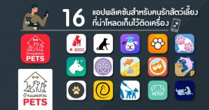 16 แอปพลิเคชันสำหรับคนรักสัตว์เลี้ยง ที่น่าโหลดเก็บไว้ติดเครื่อง