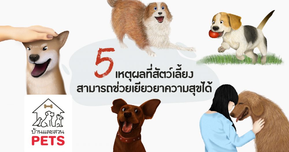 5 เหตุผลที่สัตว์เลี้ยงสามารถช่วยเยียวยาความสุขได้