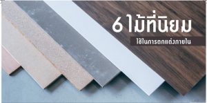 มาทำความรู้จักกับไม้ที่นิยมใช้ในงานตกแต่งภายในกันว่าประเภทไหนไว้ทำอะไรบ้าง ตกแต่งภายใน