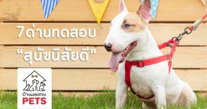 ตะลุย 7 ด่านอรหันต์ ทดสอบ “สุนัขนิสัยดี”
