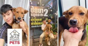 การรับ สุนัขจรจัด หรือน้องหมาไร้บ้าน มาเลี้ยงต้องเตรียมตัวอย่างไร