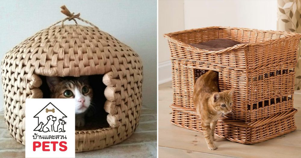 บ้านแมววัสดุธรรมชาติ ใส่ใจสิ่งแวดล้อม