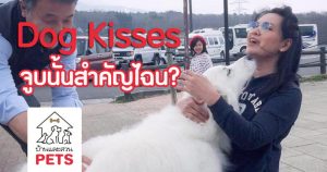 6 เรื่อง! สุดเซอร์ไพรส์เกี่ยวกับจุ๊บของน้องหมาที่คุณ(อาจ)ไม่เคยรู้มาก่อน