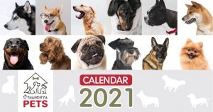 ปฏิทินบ้านและสวน Pets 2021  พร้อมวันสำคัญเกี่ยวกับสัตว์เลี้ยง