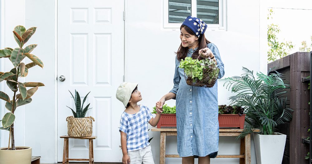 คุยกับคุณโมส เจ้าของเพจ Mom Diary คุณแม่ยุคใหม่อาชีพนักอยู่บ้าน Mom Diary เจียไต๋ ซองเมล็ดพันธุ์ใหม่ เจียไต๋ซองeasy ปลูกผักสลัด ปลูกผักในบ้าน แม่โมส น้องพิกเซล ปลูกผัก