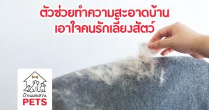 ตัวช่วยทำความสะอาดบ้าน เอาใจคนรักสัตว์เลี้ยง