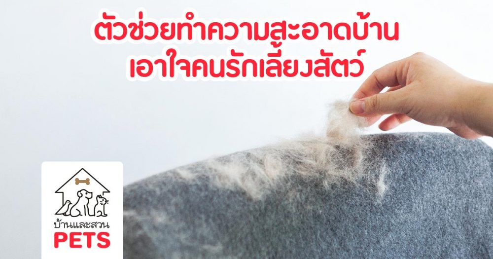 ตัวช่วยทำความสะอาดบ้าน เอาใจคนรักสัตว์เลี้ยง