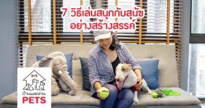 7 วิธีเล่นกับสุนัข ทั้งสนุกและสร้างสรรค์