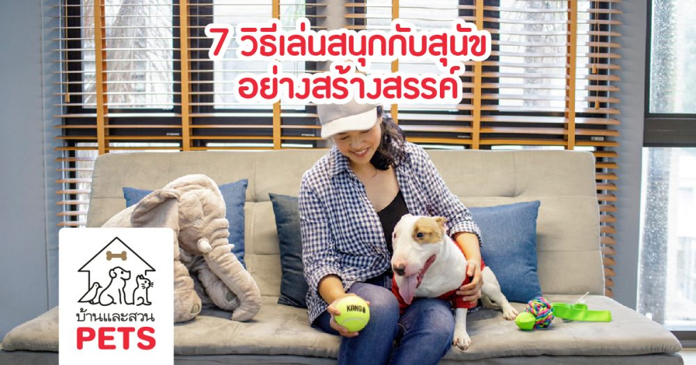 7 วิธีเล่นกับสุนัข ทั้งสนุกและสร้างสรรค์