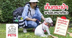 เก็บกระเป๋าก่อนพาสัตว์เลี้ยงไปท่องเที่ยว