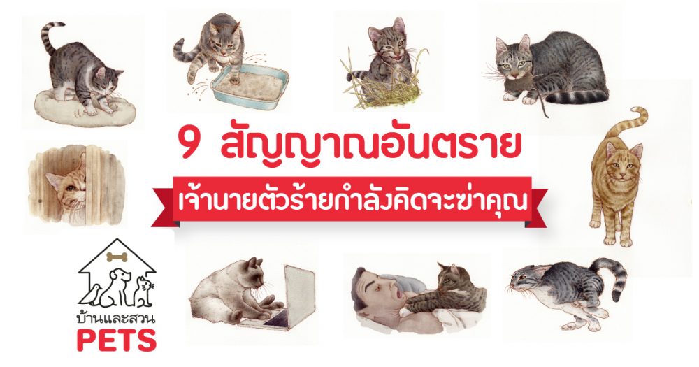 9 สัญญาณอันตราย เจ้านายตัวร้ายกำลังคิดจะฆ่าคุณ