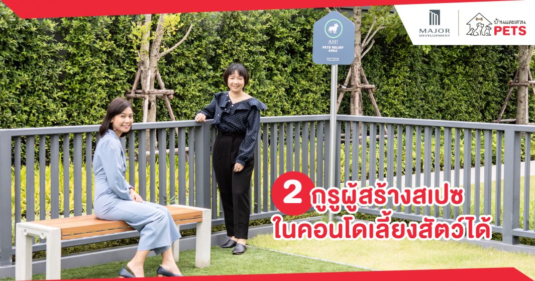 ถอดรหัสงานออกแบบคอนโดเมเจอร์ฯ การดีไซน์ที่เข้าใจคนรักสัตว์เลี้ยง