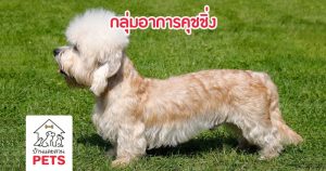 ภาวะต่อมหมวกไตชั้นนอกทำงานมากกว่าปกติ หรือกลุ่มอาการคุชชิ่ง