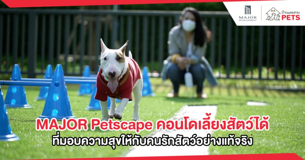 ประสบการณ์ที่มากกว่า 20 ปี นำมาซึ่งความเหนือระดับกว่าคอนโดมิเนียมที่เลี้ยงสัตว์ได้ทั่วๆไป ที่ไม่ใช่แค่อนุญาต ให้เลี้ยงสัตว์ได้ แต่คำนึงถึงทุกชีวิตที่อยู่ร่วมกันแบบ everyday life