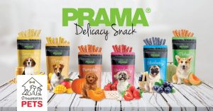 PRAMA ขนมผสมเนื้อผลไม้ ตอบโจทย์สุนัขสายเฮลตี้