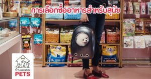 การเลือกซื้ออาหารสุนัข ให้เหมาะกับโภชนาการและช่วงวัย