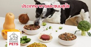 ข้อดีและข้อเสียของ อาหารและขนมสำหรับสุนัขแต่ละประเภท