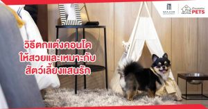 วิธีตกแต่งคอนโดให้สวยและเหมาะกับสัตว์เลี้ยงแสนรัก
