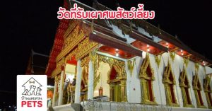 วัดที่รับเผาศพสัตว์เลี้ยง