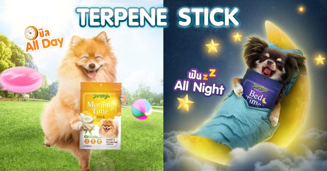 ชิล All Day ฟิน All Night กับ Terpene Stick ขนมแบบแท่งสำหรับน้องหมา