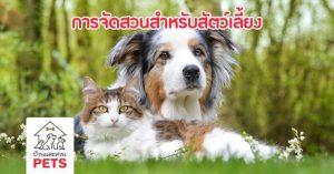 8 ข้อควรรู้ เพื่อการออกแบบ-จัดสวนสำหรับสัตว์เลี้ยง จัดสวนสำหรับสัตว์เลี้ยง