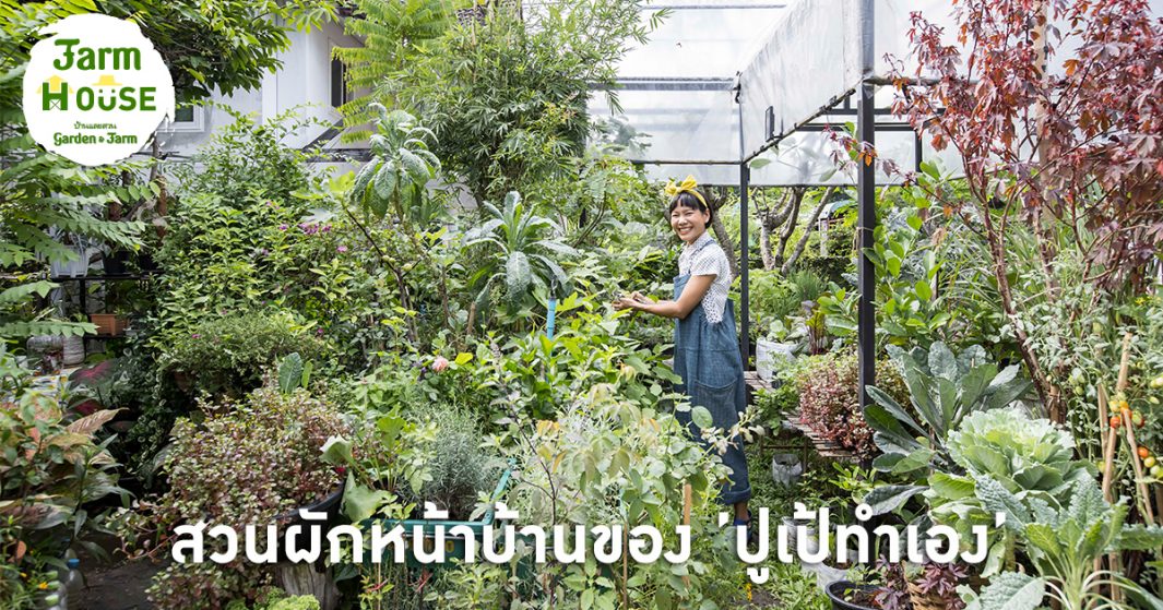 “ปูเป้ทำเอง” สวนครัวหน้าบ้านของคนที่ทำทุกอย่างใช้เอง