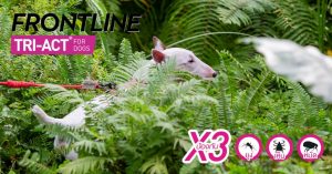 Frontline TRI ACT องครักษ์พิทักษ์สุนัขสายลุย