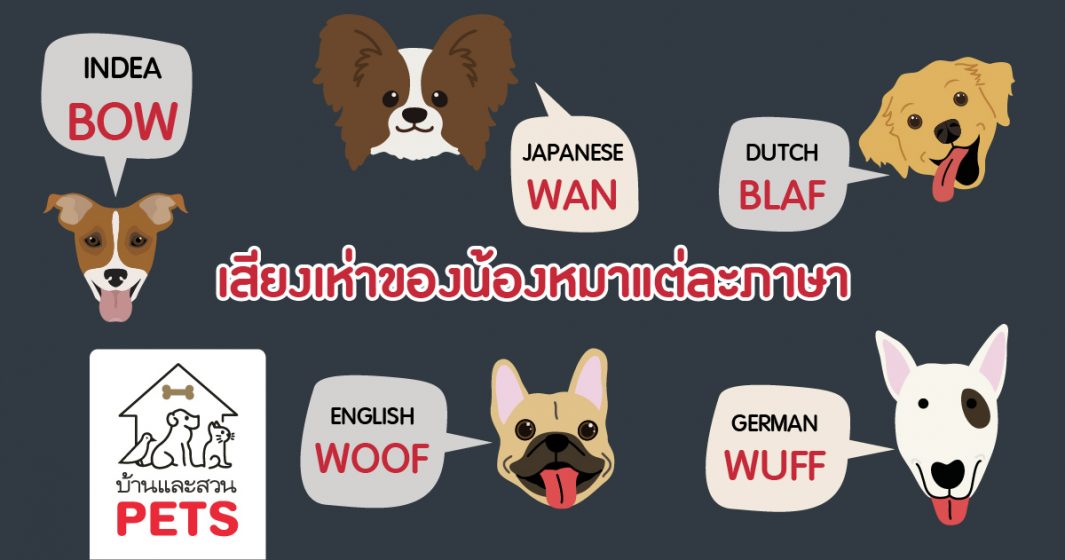 เสียงเห่า ของน้องหมาแต่ละภาษา