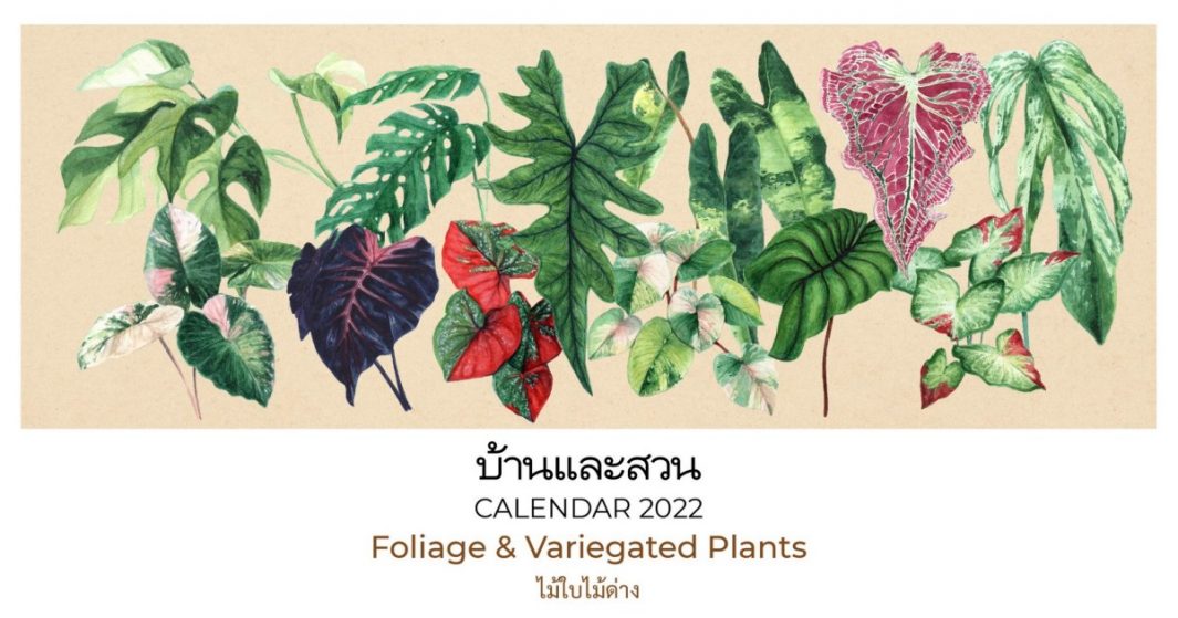 แจกฟรี ปฏิทินปี2565 !!! ปฏิทินไม้ใบ-ไม้ด่าง โดนใจคนรักต้นไม้ รีบมาโหลดไปใช้กัน