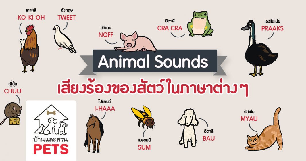 เสียงร้องของสัตว์ต่าง ๆ ในหลากหลายภาษา