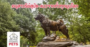 10 อนุสาวรีย์สุนัขและแมว จากทั่วทุกมุมโลก
