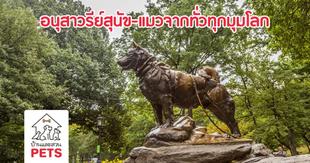 10 อนุสาวรีย์สุนัขและแมว จากทั่วทุกมุมโลก