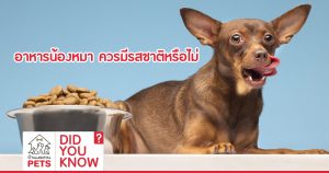 อาหารน้องหมา ควรมีรสชาติหรือไม่