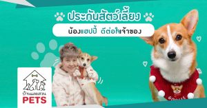 ประกันสัตว์เลี้ยง น้องแฮปปี้ ดีต่อใจเจ้าของ