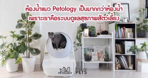 ห้องน้ำแมว กับพฤติกรรมการขับถ่ายของแมวที่ทาสควรรู้