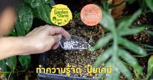 ปุ๋ยเคมีมีกี่ชนิด ดีอย่างไร เลือกใช้ให้เหมาะกับต้นไม้