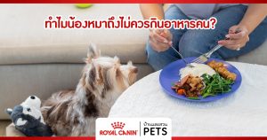 ทำไมน้องหมาถึงไม่ควรกิน “อาหารคน” ทำไมน้องหมาถึงไม่ควรกิน "อาหารคน"