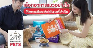 เลือกอาหารแมวอย่างไร ให้สุขภาพดีและเติบโตแบบที่เค้าเป็น
