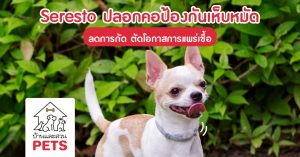 Seresto ปลอกคอป้องกันเห็บหมัด