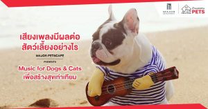 เสียงเพลงมีผลต่อสัตว์เลี้ยงอย่างไร